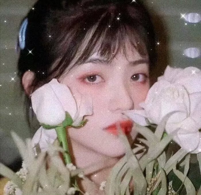 无忧的过客